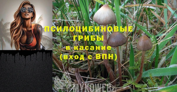 apvp Нефтегорск