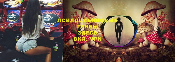 apvp Нефтегорск