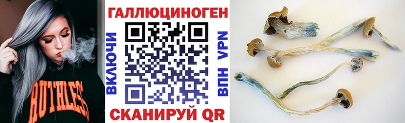 Псилоцибиновые грибы Cubensis  Купить где  Усть-Лабинск 
